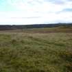 Digital photograph of rock art panel context, Scotland's Rock Art Project, Urchany 3, Highland