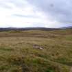 Digital photograph of rock art panel context, Scotland's Rock Art Project, Urchany 3, Highland