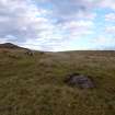 Digital photograph of rock art panel context, Scotland's Rock Art Project, Urchany 3, Highland