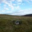 Digital photograph of rock art panel context, Scotland's Rock Art Project, Urchany 3, Highland