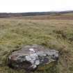 Digital photograph of panel in context without scale, Scotland's Rock Art Project, Urchany 3, Highland