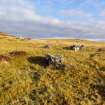 Digital photograph of panel to east, Scotland's Rock Art Project, Urchany 3, Highland