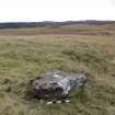 Digital photograph of panel to south, Scotland's Rock Art Project, Urchany 3, Highland