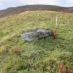 Digital photograph of panel to west, Scotland's Rock Art Project, Urchany 4, Highland
