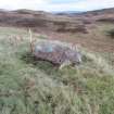 Digital photograph of panel to east, Scotland's Rock Art Project, Urchany 4, Highland
