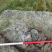 Digital photograph of perpendicular to carved surface(s), Scotland's Rock Art Project, Urchany 4, Highland