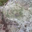Digital photograph of rock art panel context, Scotland's Rock Art Project, Urchany 4, Highland