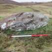 Digital photograph of panel in context with scale, Scotland's Rock Art Project, Urchany 4, Highland