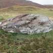 Digital photograph of panel in context without scale, Scotland's Rock Art Project, Urchany 4, Highland
