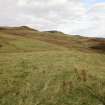 Digital photograph of rock art panel context, Scotland's Rock Art Project, Urchany 4, Highland