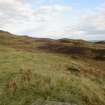 Digital photograph of rock art panel context, Scotland's Rock Art Project, Urchany 4, Highland