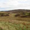 Digital photograph of panorama, from Scotland's Rock Art Project, Urchany 4, Highland