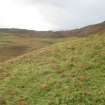 Digital photograph of rock art panel context, Scotland's Rock Art Project, Urchany 4, Highland