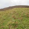 Digital photograph of rock art panel context, Scotland's Rock Art Project, Urchany 4, Highland