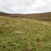 Digital photograph of rock art panel context, Scotland's Rock Art Project, Urchany 4, Highland