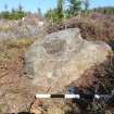 Digital photograph of panel to north, from Scotland's Rock Art Project, West Comrie 1, Highland