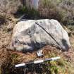 Digital photograph of panel to south-east, from Scotland's Rock Art Project, West Comrie 1, Highland