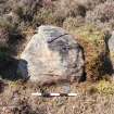 Digital photograph of panel to south-west, from Scotland's Rock Art Project, West Comrie 1, Highland