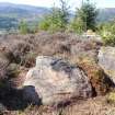 Digital photograph of panel in context without scale, from Scotland's Rock Art Project, West Comrie 1, Highland