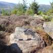 Digital photograph of rock art panel context, Scotland's Rock Art Project, West Comrie 1, Highland