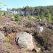 Digital photograph of panel in context without scale, from Scotland's Rock Art Project, West Comrie 1, Highland