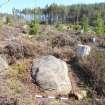 Digital photograph of panel in context with scale, from Scotland's Rock Art Project, West Comrie 1, Highland