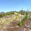 Digital photograph of panorama, from Scotland's Rock Art Project, West Comrie 1, Highland