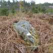 Digital photograph of panel before cleaning, from Scotland's Rock Art Project, West Comrie 5, Highland