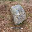 Digital photograph of rock art panel context, Scotland's Rock Art Project, West Comrie 5, Highland