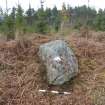 Digital photograph of panel in context with scale, from Scotland's Rock Art Project, West Comrie 5, Highland