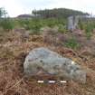 Digital photograph of rock art panel context, Scotland's Rock Art Project, West Comrie 5, Highland