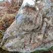 Digital photograph of perpendicular to carved surface(s), from Scotland's Rock Art Project, West Comrie 5, Highland