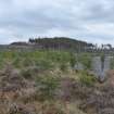 Digital photograph of rock art panel context, Scotland's Rock Art Project, West Comrie 5, Highland