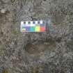 Digital photograph of close ups of motifs, from Scotland's Rock Art Project, Woodlands Farm, Highland