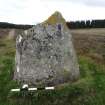 Digital photograph of panel to west, from Scotland's Rock Art Project, Boltachan Burn 1, Perth and Kinross