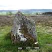 Digital photograph of panel to south-east, from Scotland's Rock Art Project, Boltachan Burn 1, Perth and Kinross
