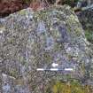 Digital photograph of panel before cleaning, from Scotland's Rock Art Project, Cragganester 4, Perth and Kinross