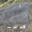 Digital photograph of perpendicular to carved surface(s), Scotland's Rock Art Project, Cragganester 4, Perth and Kinross