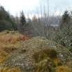 Digital photograph of panel to east, Scotland's Rock Art Project, Cragganester 4, Perth and Kinross