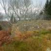 Digital photograph of panel to south, Scotland's Rock Art Project, Cragganester 4, Perth and Kinross