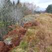 Digital photograph of panel to west, Scotland's Rock Art Project, Cragganester 4, Perth and Kinross