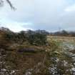 Digital photograph of panel in context without scale, Scotland's Rock Art Project, Cragganester 6, Perth and Kinross