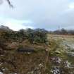 Digital photograph of panel in context with scale, Scotland's Rock Art Project, Cragganester 6, Perth and Kinross