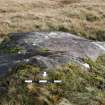 Digital photograph of panel, from Scotland's Rock Art Project, Cloanlawers 1, Loch Tay, Perth and Kinross