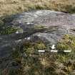 Digital photograph of panel, from Scotland's Rock Art Project, Cloanlawers 1, Loch Tay, Perth and Kinross