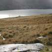 Digital photograph of rock art panel context, Scotland's Rock Art Project, Cloanlawers 1, Loch Tay, Perth and Kinross