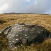 Digital photograph of panel to north, from Scotland's Rock Art Project, Cloanlawers 1, Loch Tay, Perth and Kinross