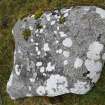 Digital photograph of rock art panel context, Scotland's Rock Art Project, Cloanlawers 3, Loch Tay, Perth and Kinross