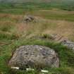 Digital photograph of panel in context with scale, from Scotland's Rock Art Project, Tombreck 1, Loch Tay, Perth and Kinross