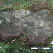 Digital photograph of perpendicular to carved surface(s), from Scotland's Rock Art Project, Lurgan Farm 6, Perth and Kinross